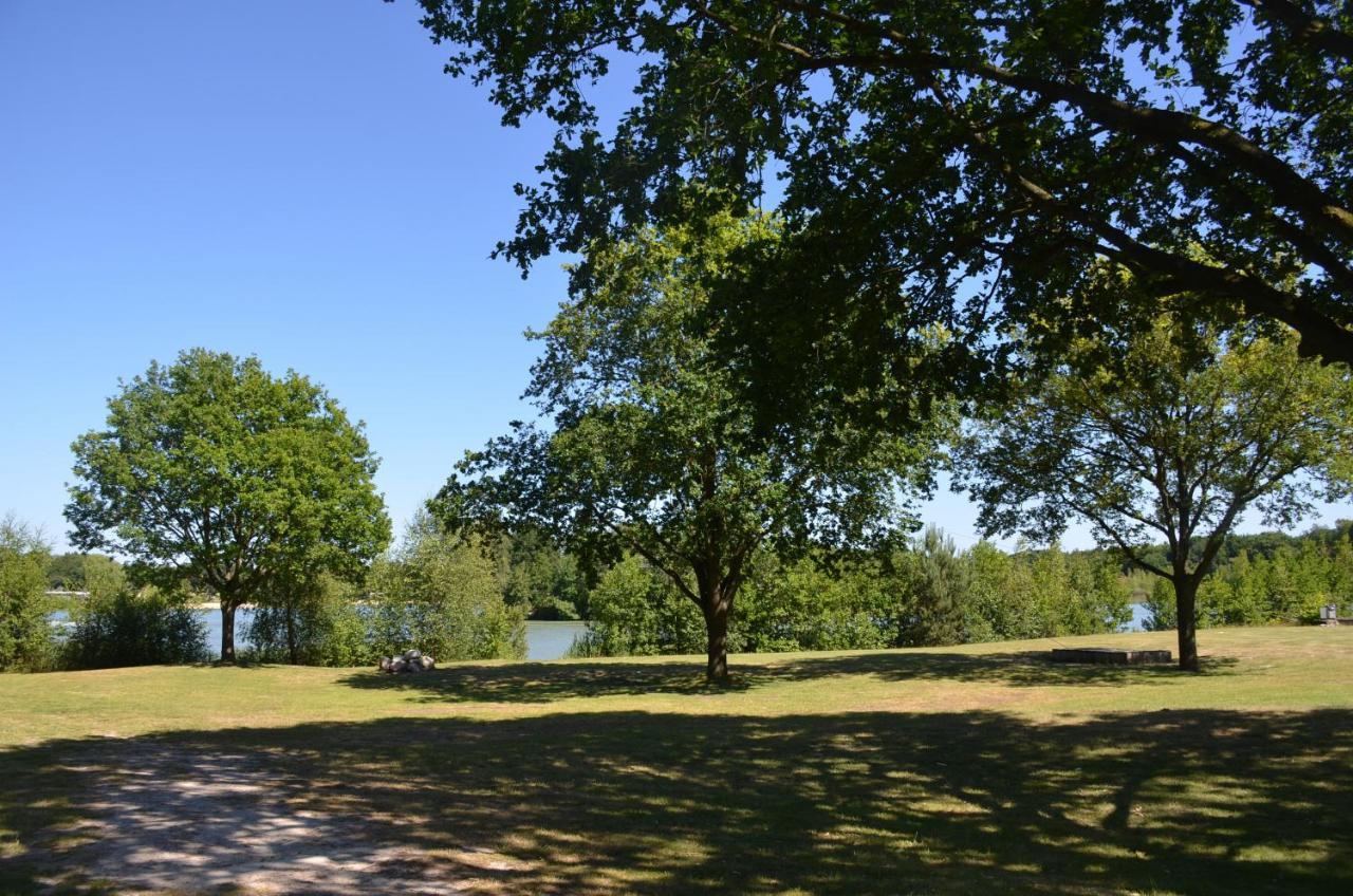 Drents Genieten - Lavendelheide Met Uitzicht Op Het Water Erm Zewnętrze zdjęcie