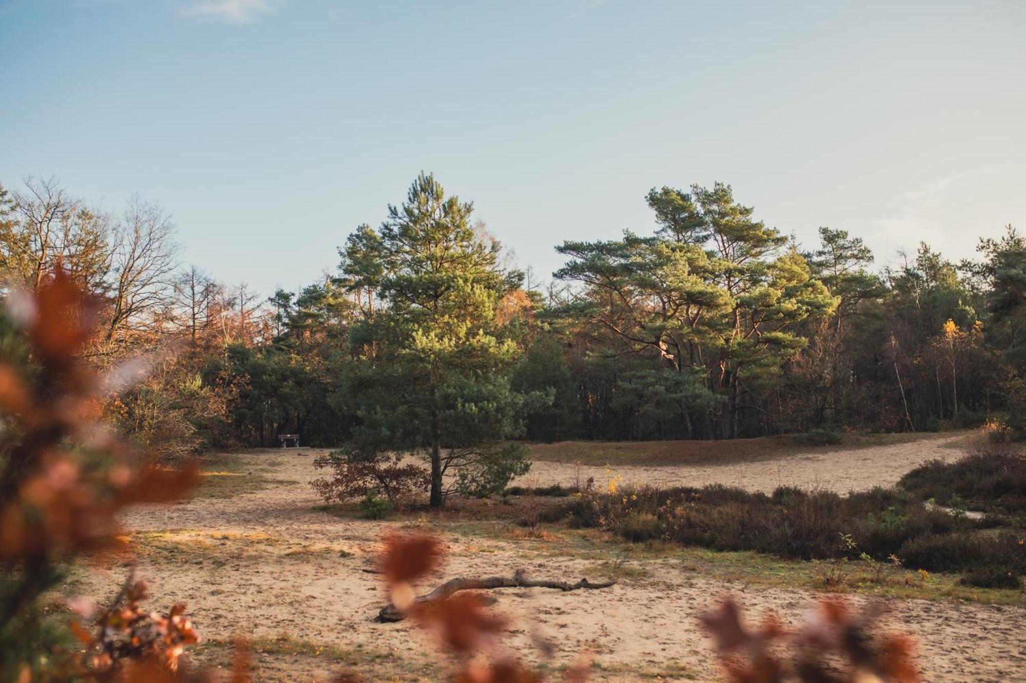 Drents Genieten - Lavendelheide Met Uitzicht Op Het Water Erm Zewnętrze zdjęcie