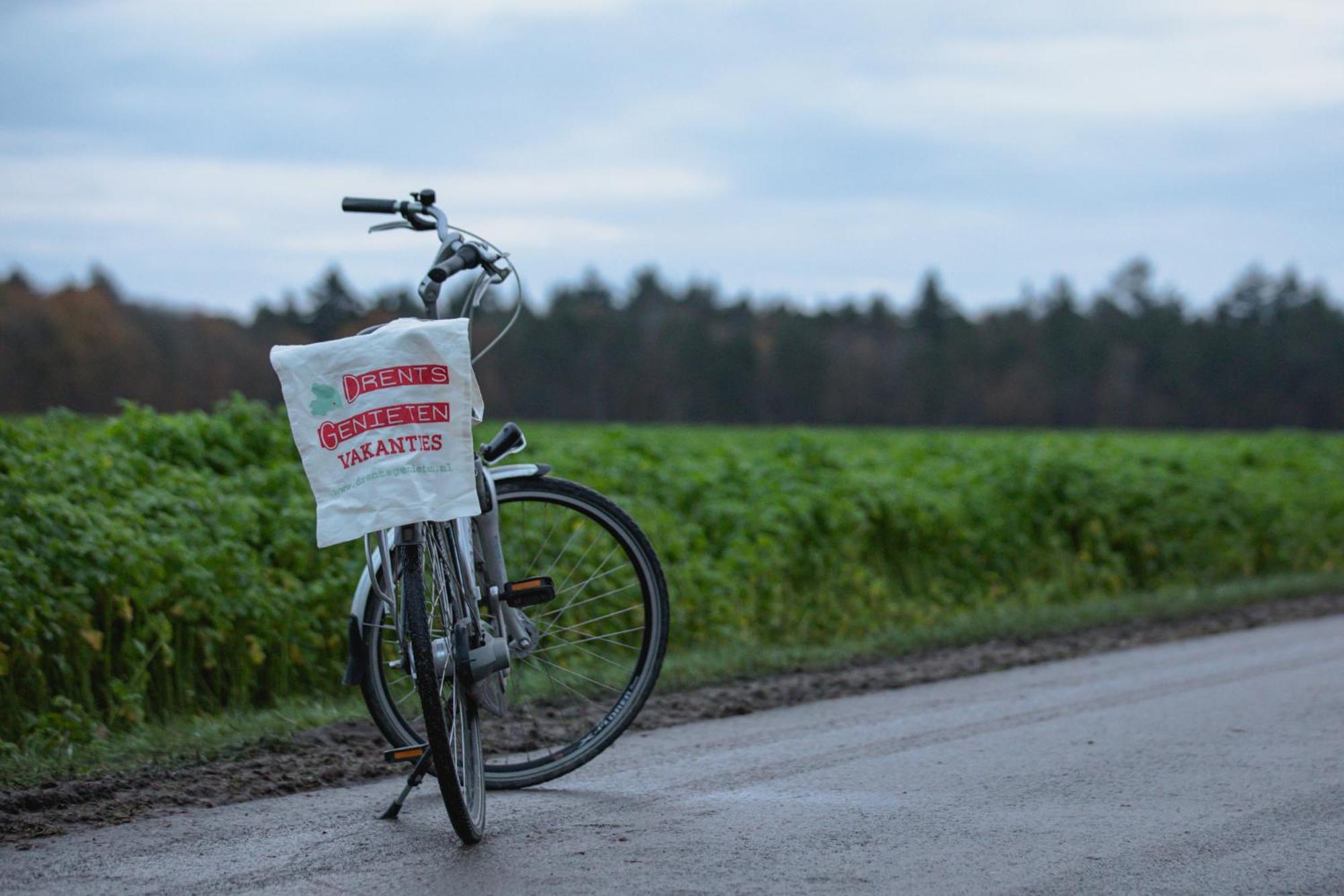 Drents Genieten - Lavendelheide Met Uitzicht Op Het Water Erm Zewnętrze zdjęcie